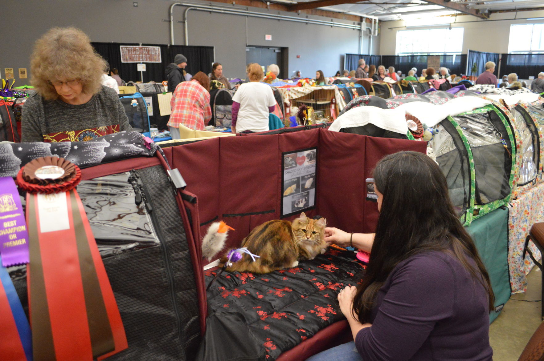 Longview Cat Show 2019